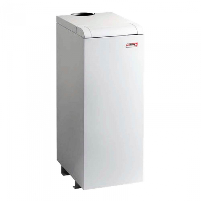 Напольный газовый котёл Protherm Медведь 50 KLOM