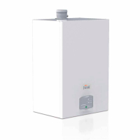 Конденсационный газовый котел Ferroli Force W 99